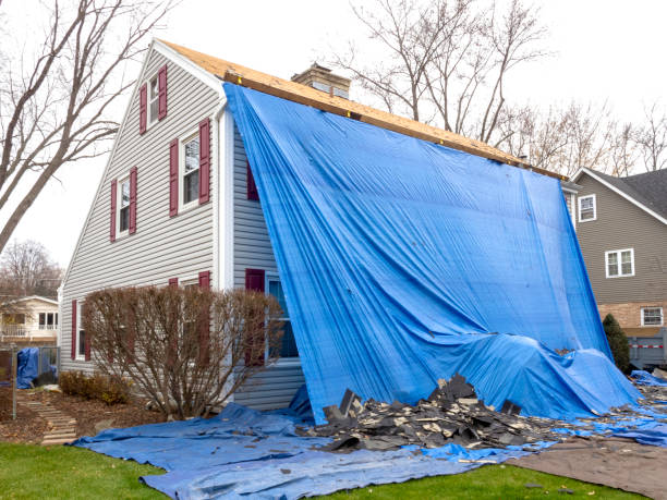 Affordable siding repair and maintenance services in Bruce, MS